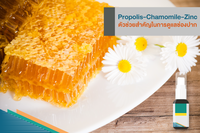 Propolis-Chamomile-Zinc ǪӤѭ㹡ôŪͧҡ