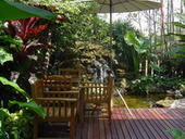 �ǹ�Թ Rock garden